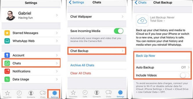 iPhone WhatsApp chat history backup