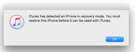 restore iPhone iPad by iTunes
